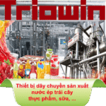 Triowin